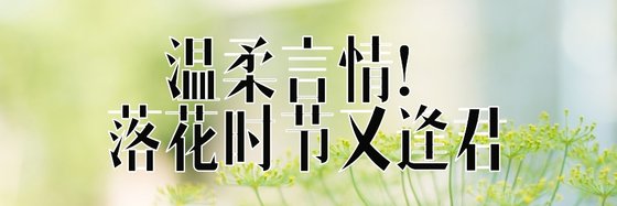 溫柔言情！落花時節又逢君